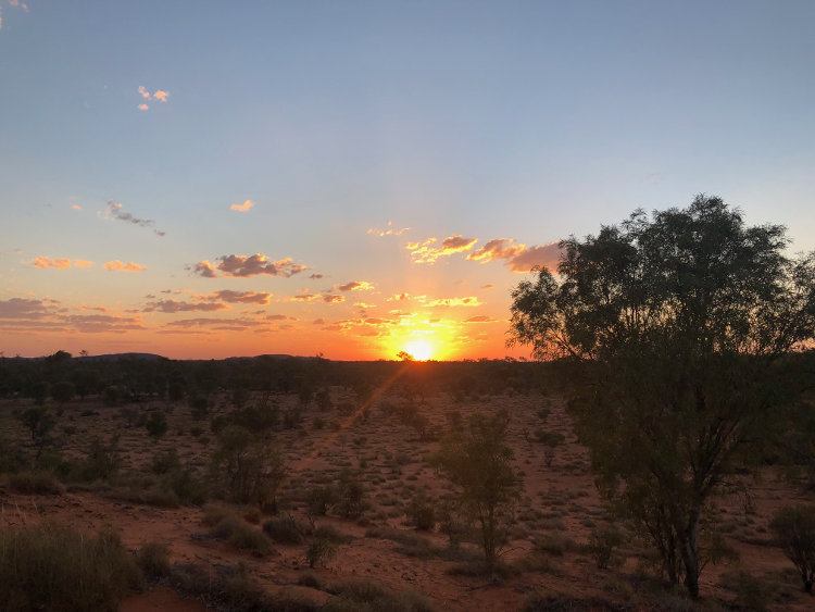Sunset over red desert country and scattered trees in Central Australia