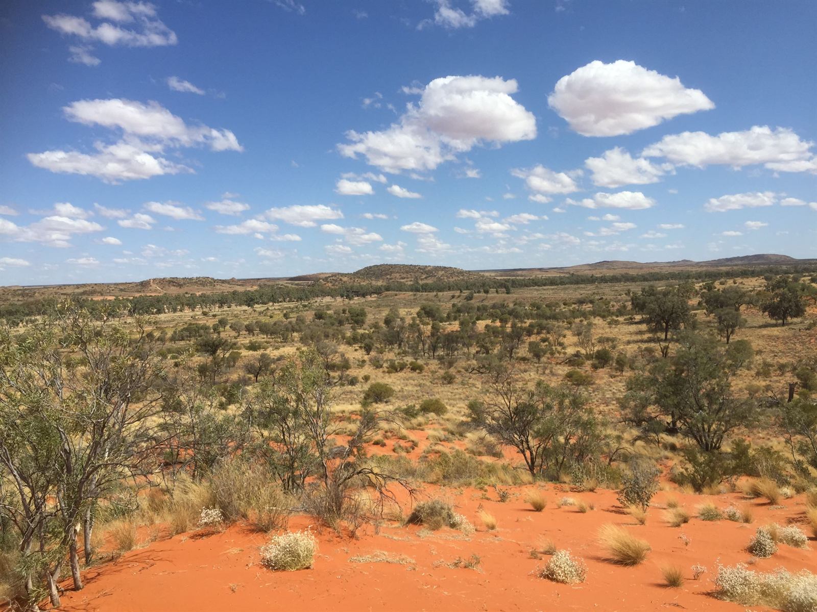 View across red sand and desert scrub to distant hills under a blue sky